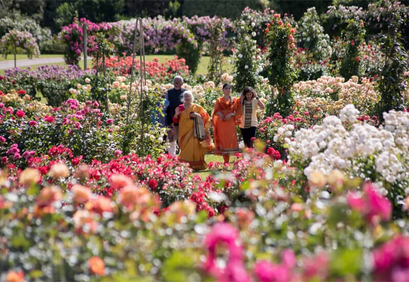 Victora State Rose Garden