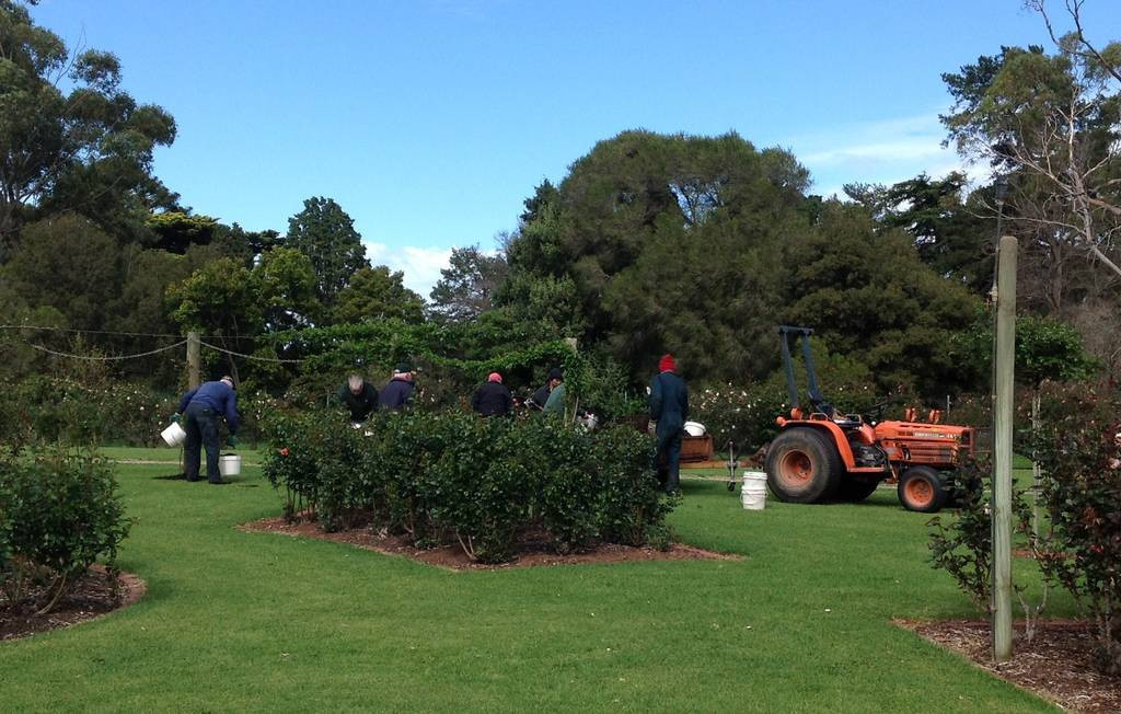 Victora State Rose Garden