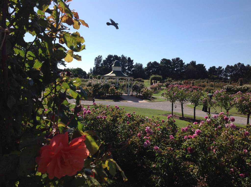 Victora State Rose Garden