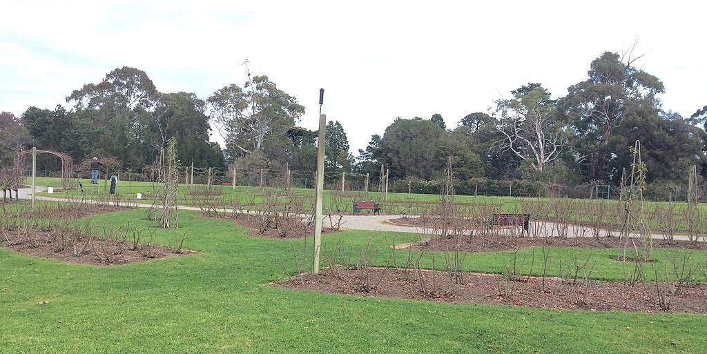 Victora State Rose Garden