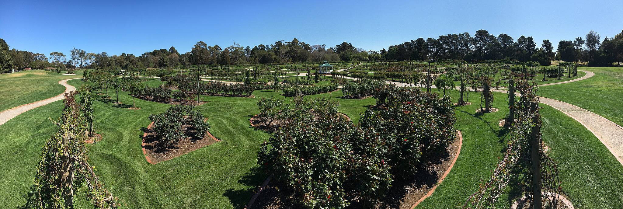 Victora State Rose Garden